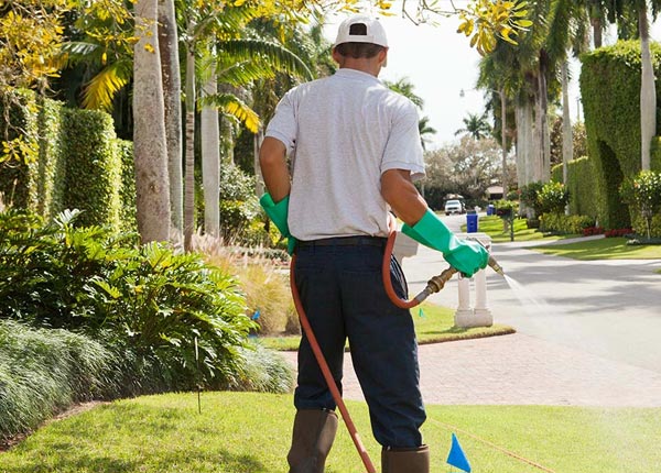About Roanoke AL Pest Control